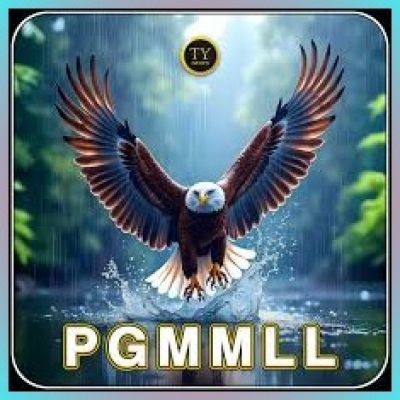 pgmmll pgmmll
