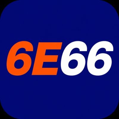 6e66 6e66